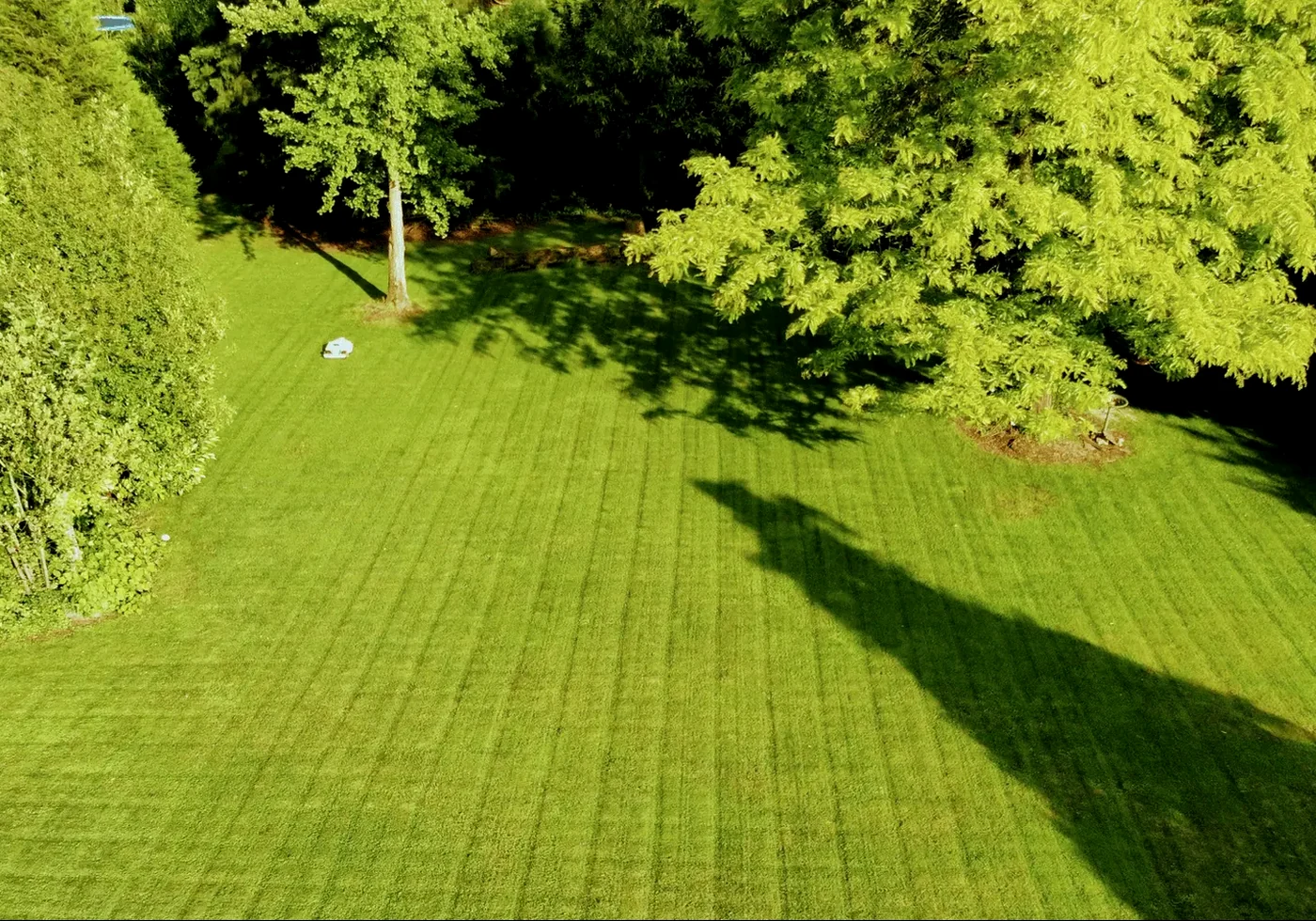 More Than Selling Mowers
