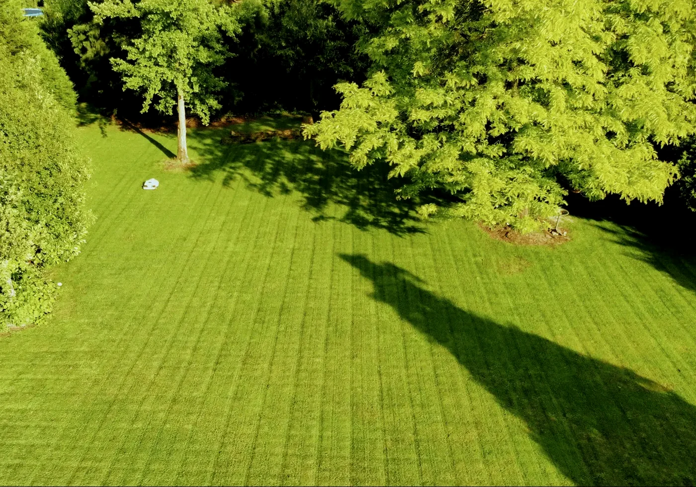 Is Robotic Mowing Right for Your Business?